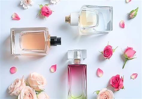 catch of the day perfume fake